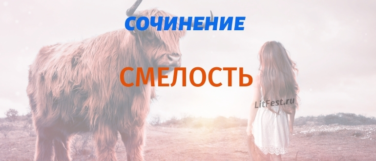 5 лучших сочинений про смелость для ОГЭ