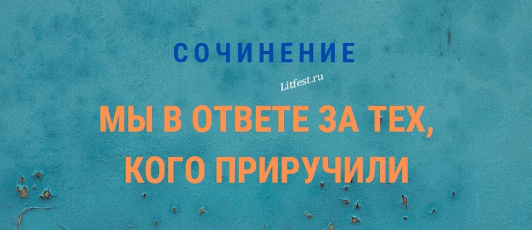 Сочинения на тему «Мы в ответе за тех, кого приручили»