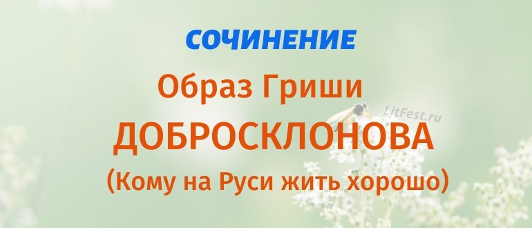 Образ Добросклонова в поэме Кому на Руси жить хорошо