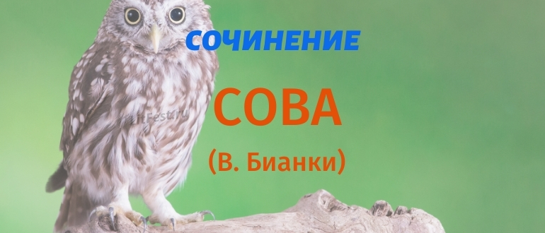 Сочинения по произведению «Сова» Бианки