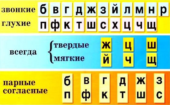 Характеристика букв и звуков в русском языке