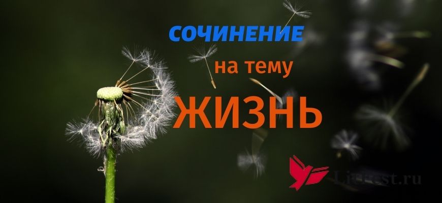 Сочинения про жизнь