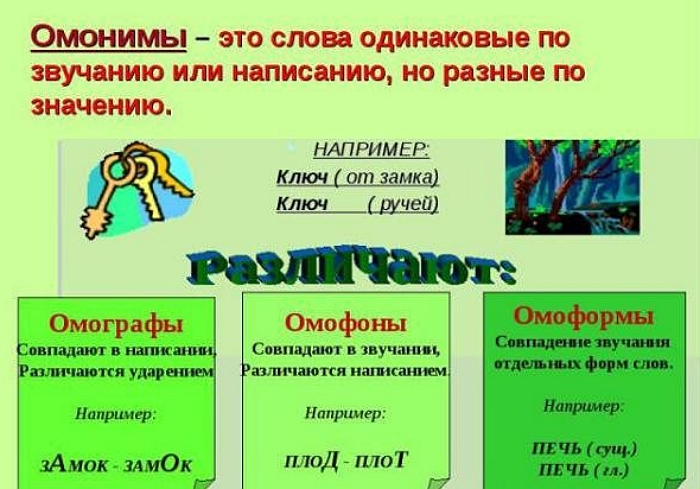 Что такое омонимы? Примеры