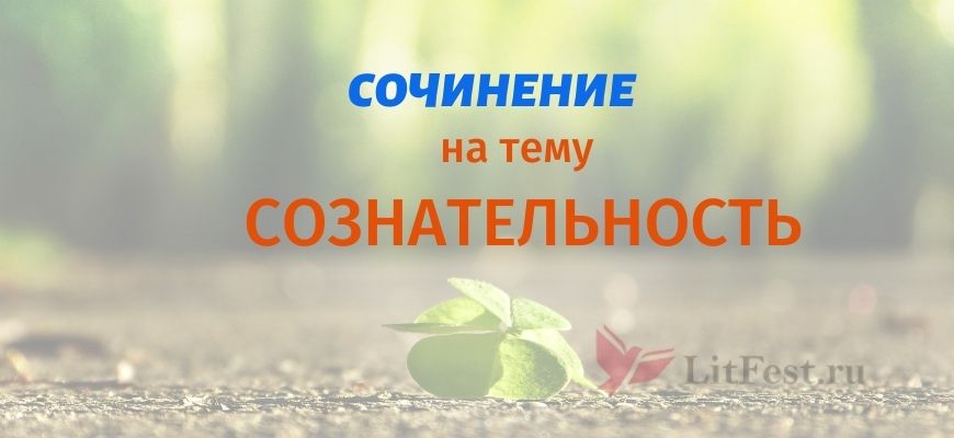 Сочинения про сознательность