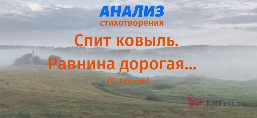 Анализ Спит ковыль