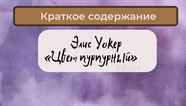 Краткое содержание романа «Цвет пурпурный» Э. Уокер