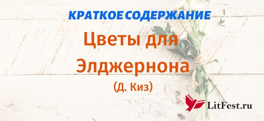 Краткое содержание рассказа «Цветы для Элджернона» Киза